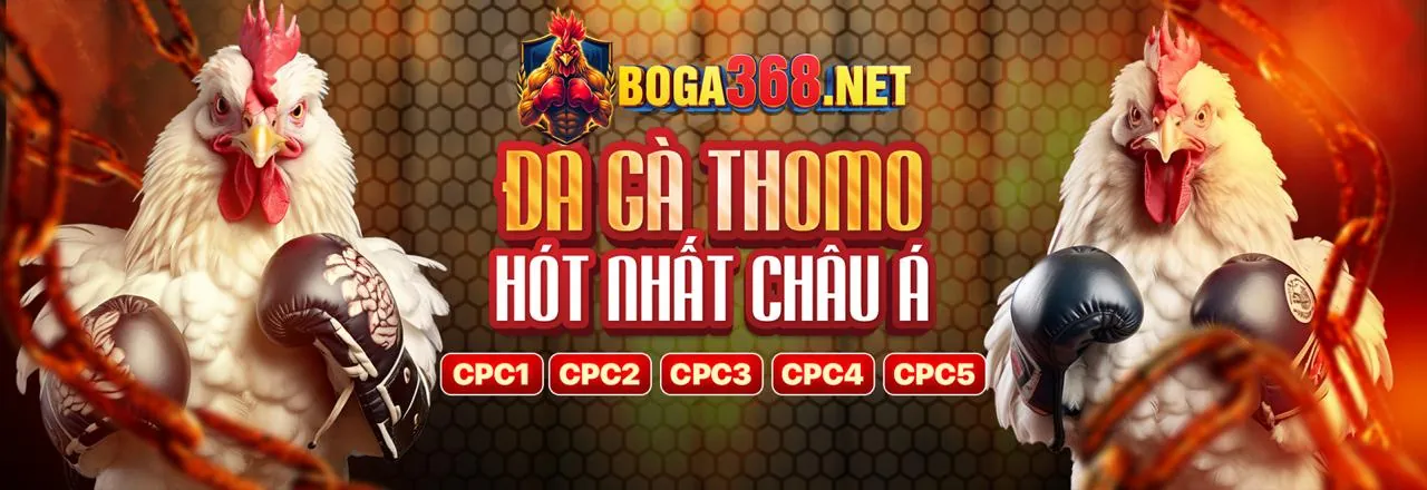 Các tính năng nổi bật của ứng dụng Thiên Hạ Bet