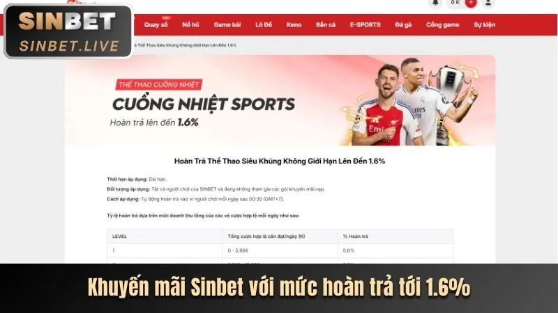 Mẹo cá cược Thể Thao hiệu quả từ chuyên gia Thiên Hạ Bet